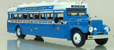 greyhound greyhound